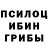 Галлюциногенные грибы прущие грибы Redhalo king