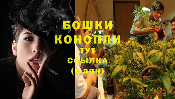 COCAINE Арсеньев